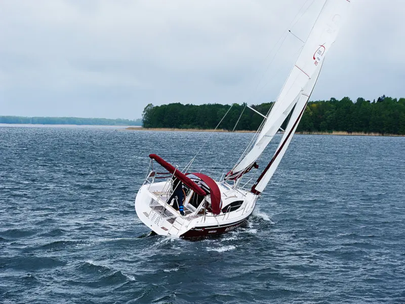 WIKTORIA Maxus 33.1 RS Prestige
