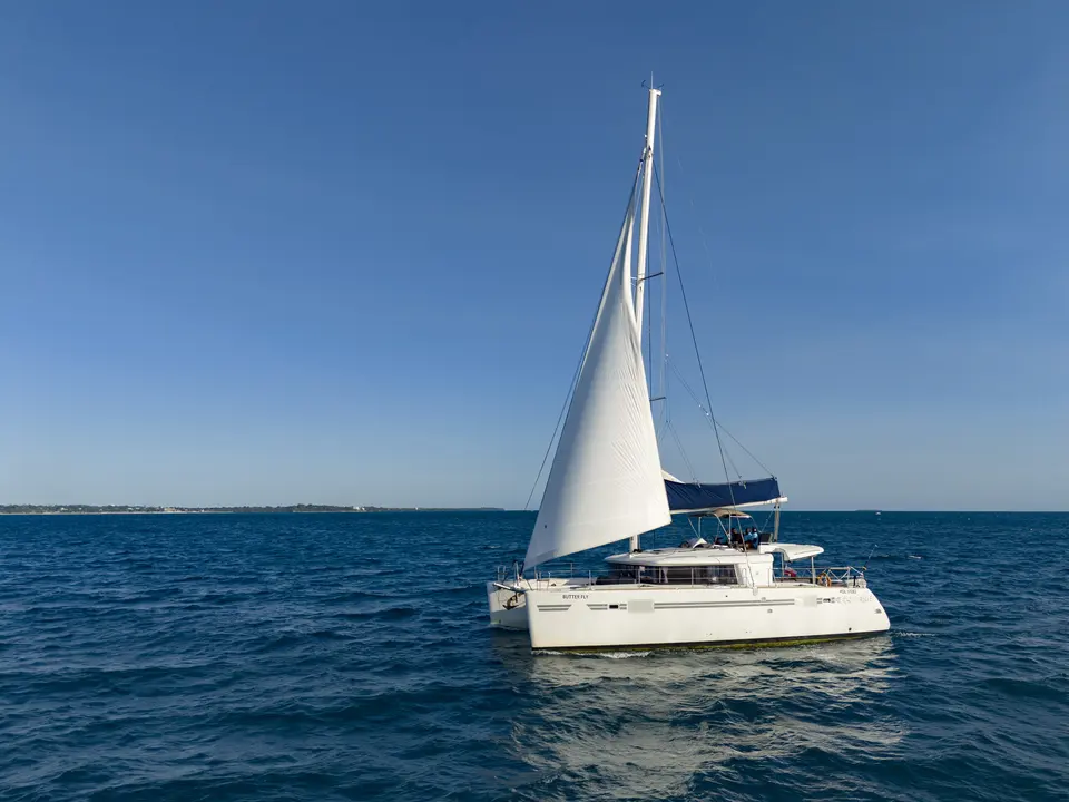 Butterfly Lagoon 450 Fly