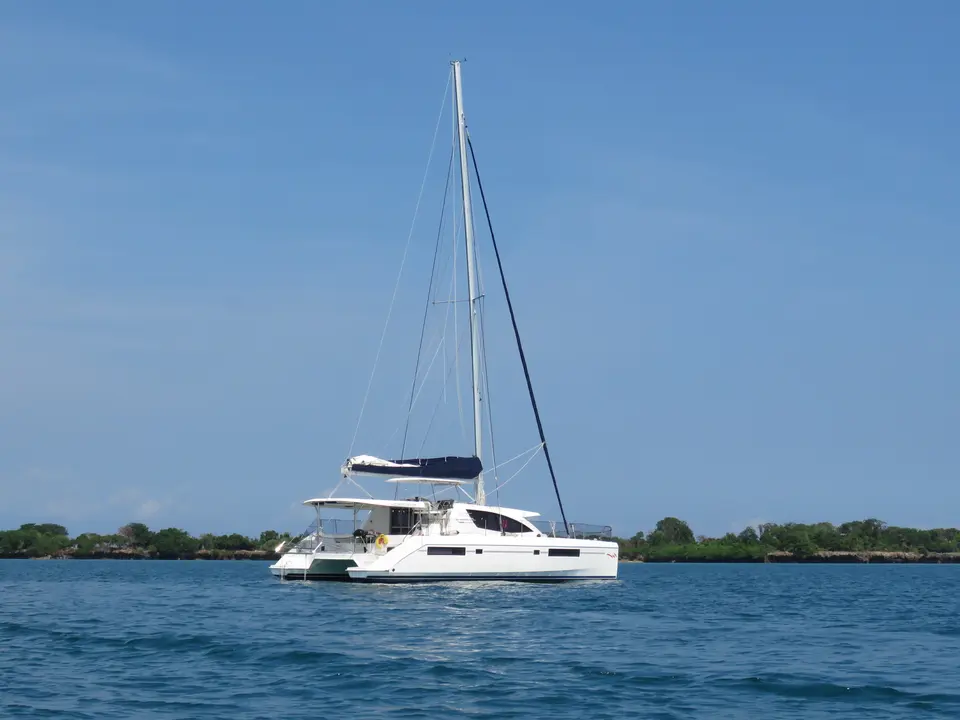 Premium Leopard 48