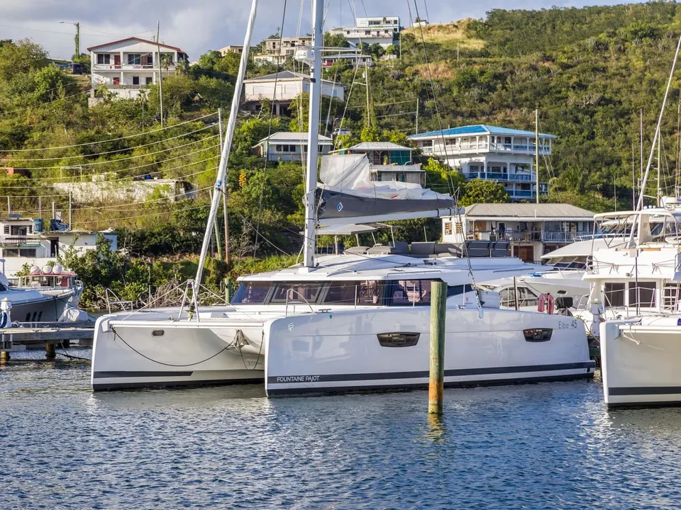 Sea Monkeys Elba 45