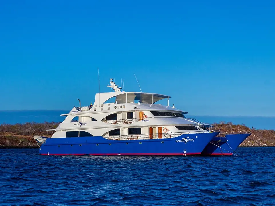 Ocean Spray Power Catamaran