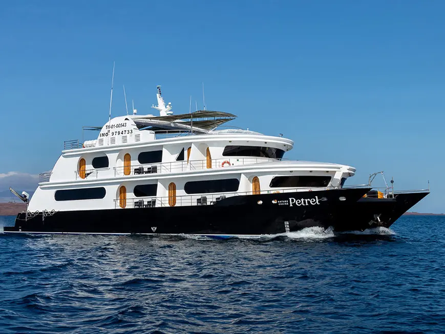 Petrel Power Catamaran