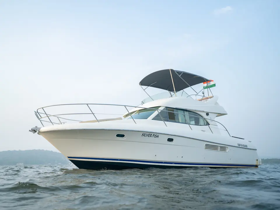 Silver Fish Prestige 36