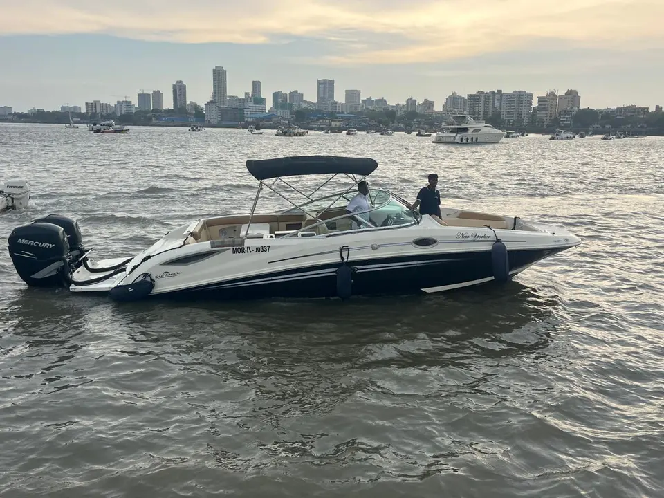 New Yorker Sea Ray SDX 290